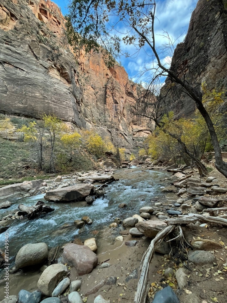 Fototapeta premium Zion National Park, The Narrows, America