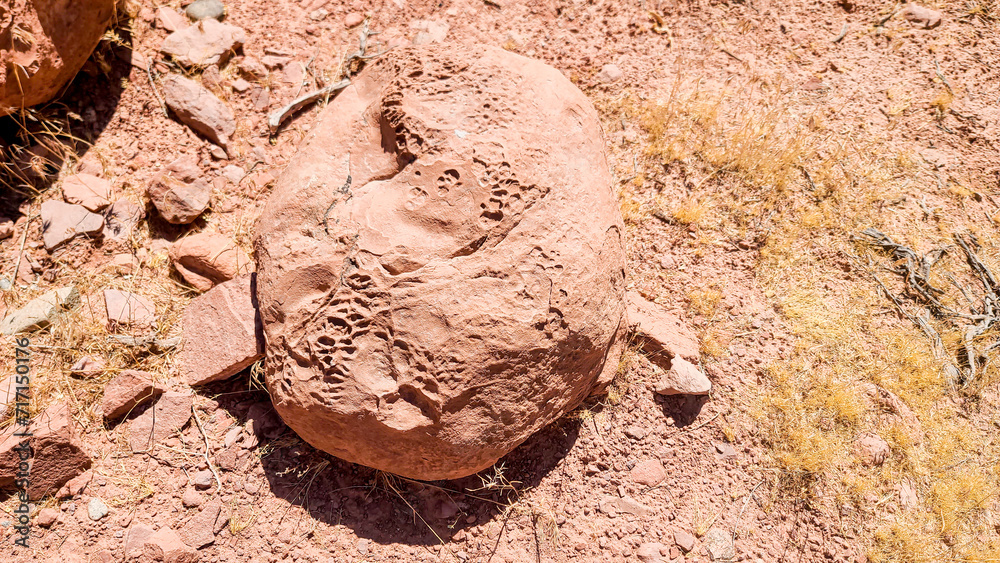 Obraz premium Bryce Canyon National Park, Utah