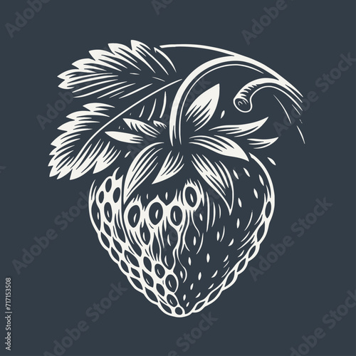 Strawberry on a branch. Vintage woodcut style vector illustration on dark background.