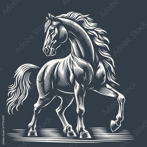 Horse. Vintage woodcut style vector illustration on dark background.