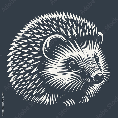 Hedgehog. Vintage woodcut style vector illustration on dark background.