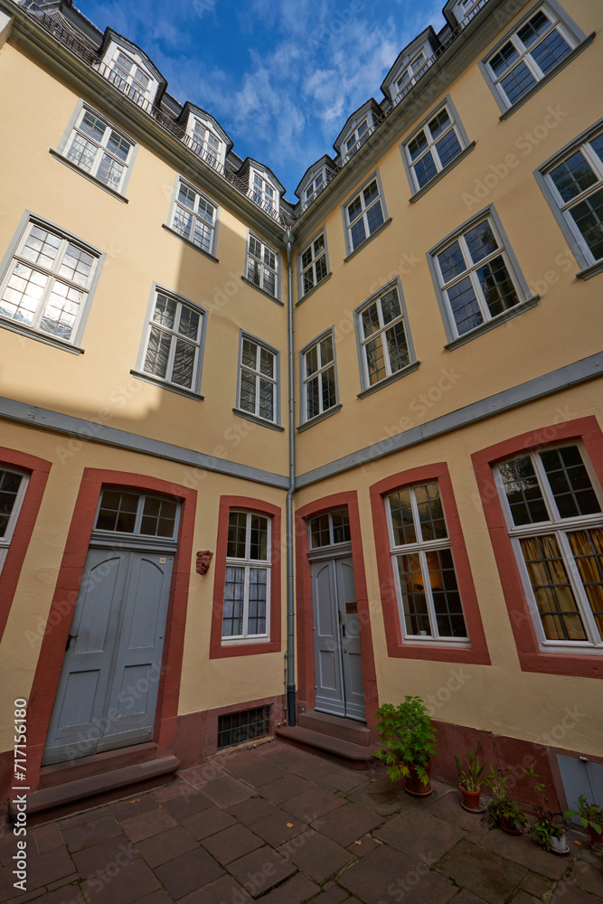 Naklejka premium Small yards of Frankfurt, Germany