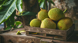 Fresh tropical jackfruit in a box on a wooden table
