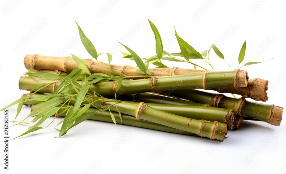 Bamboo shoots with leaves isolated on white background. Bamboo shoots with leaves isolated on white background.