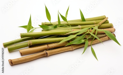 Bamboo shoots with leaves isolated on white background.