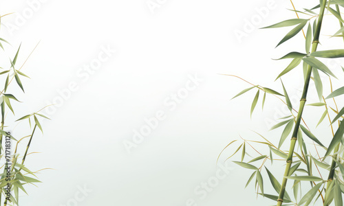 Green bamboo stems with leaves on white background.