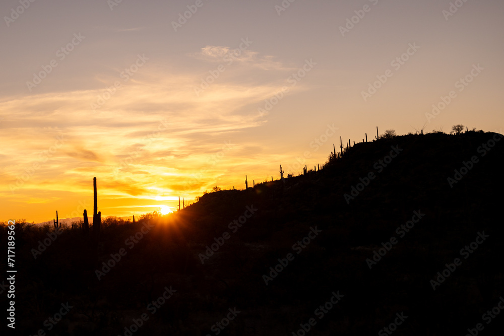 A ridge line with multiple saguaro cacti silhouetted against a dramatic sunset in the Saguaro National Park in Arizona
