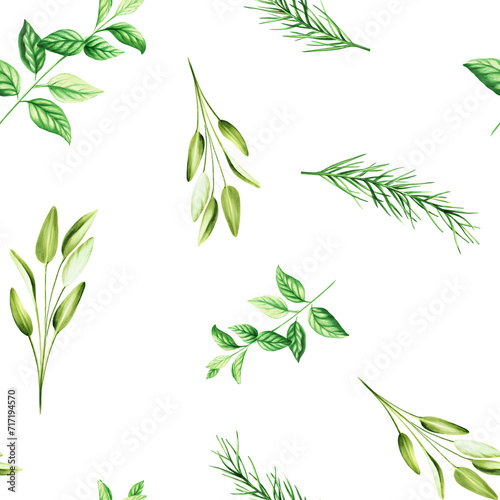 Watercolor seamless pattern with aromatic herbs. Illustrations of fresh rosemary, mint, sage isolated on background. Detail of beauty products and botany set, cosmetology and medicine. For d photo
