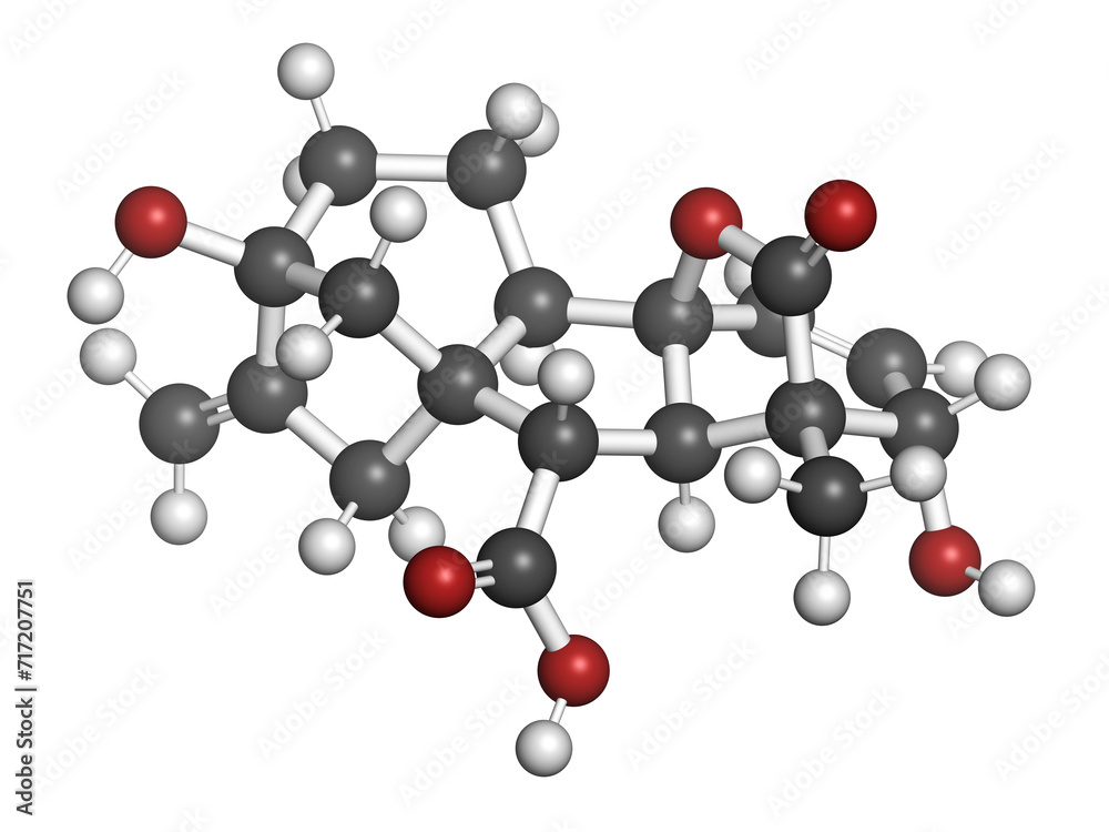 Gibberellic acid (gibberellin A3, GA3) plant hormone molecule. 3D rendering. Gibberellic acid (gibberellin A3, GA3) plant hormone molecule. 3D rendering.