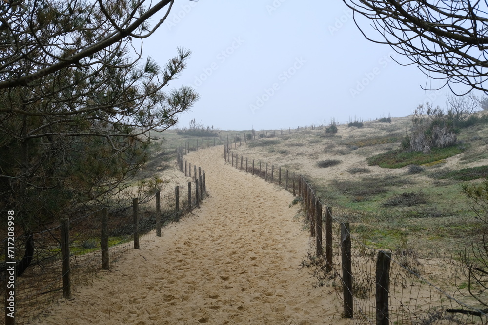 A small sand path along the Ocean. Cap Ferret, France - January 23, 2024.
