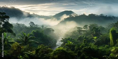 Jungle's Enigma: A Foggy Morning's Mystical Canvas © Pavlo