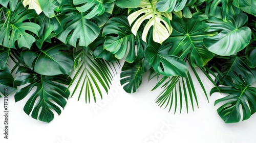 palm leaves isolated on white, The tropical plant leaves, with their rich green texture and varied shapes, provide a peaceful and fresh tropical decor element..