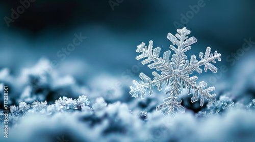 Close Up of Snowflake in Snow