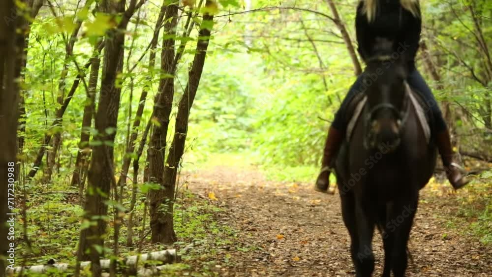 Blonde young woman in black rides horse in green park Blonde young woman in black rides horse in green park