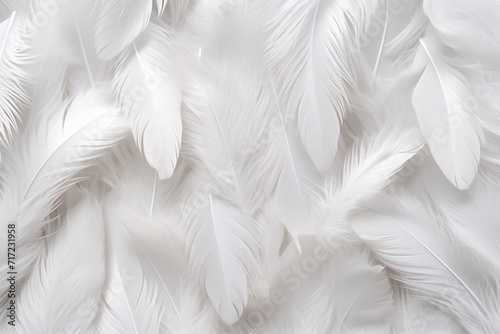 White Soft Feathers Background, White Fluffy feathers pattern, Beautiful feathers background, feathers wallpaper, bird feathers pattern, AI Generative © Forhadx5