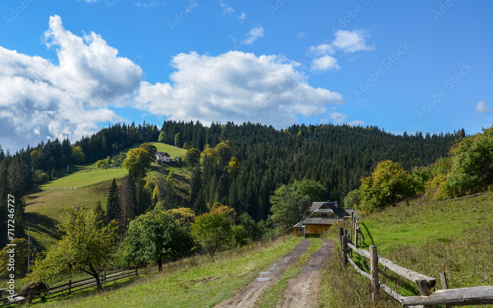 A dirt road along a wooden fence leads to small village houses scattered on picturesque hills covered with grass and trees. Carpathian Mountains, Ukraine