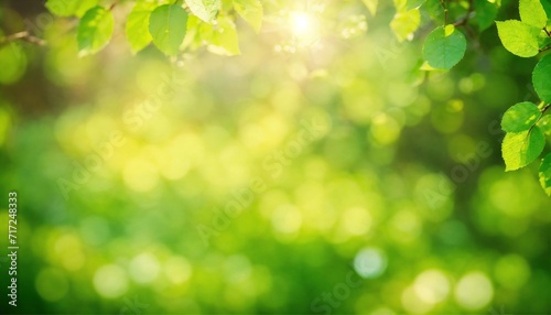 Sunny defocused green nature background, abstract bokeh effect es element for your design.