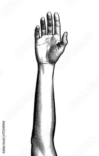 Black engraving human neutral forehand up illustration on white BG