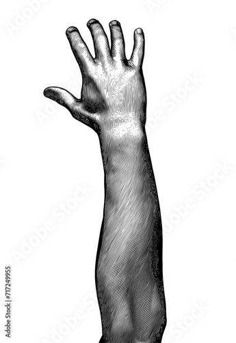 Black engraving human back hand up illustration on white BG