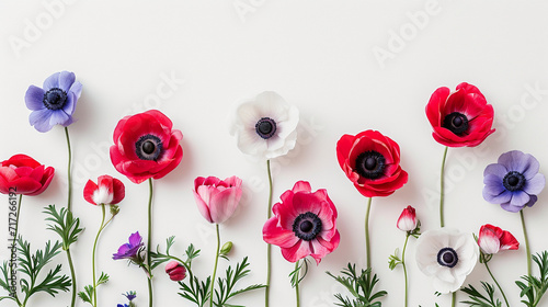 A minimalist arrangement of anemone flowers on a clean white canvas, Valentine's Day, Flat lay, top view, aesthetic background, with copy space