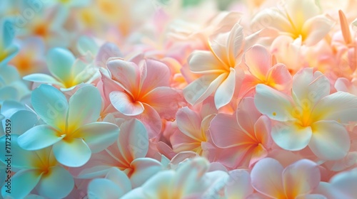 Sun-kissed plumeria flowers in a variety of soft pastels generative ai