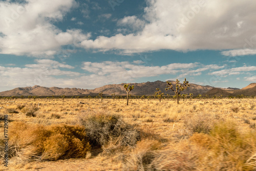 desert landscape in California San Bernardino