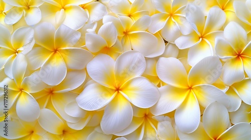 Tropical frangipani flowers in full bloom generative ai