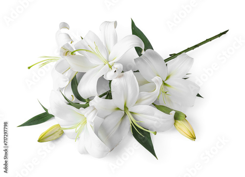 Beautiful lily flowers on white background