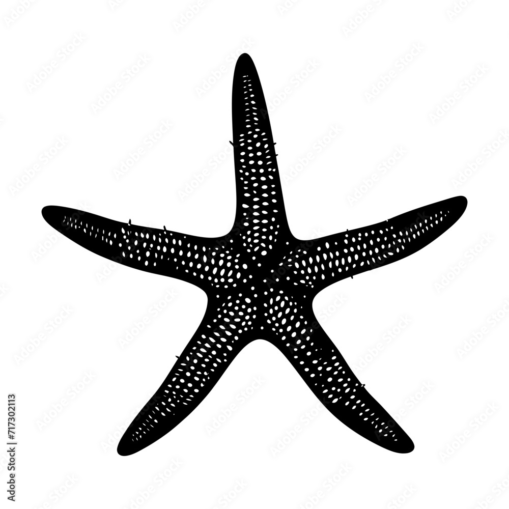 Silhouette starfish black color only Silhouette starfish black color only