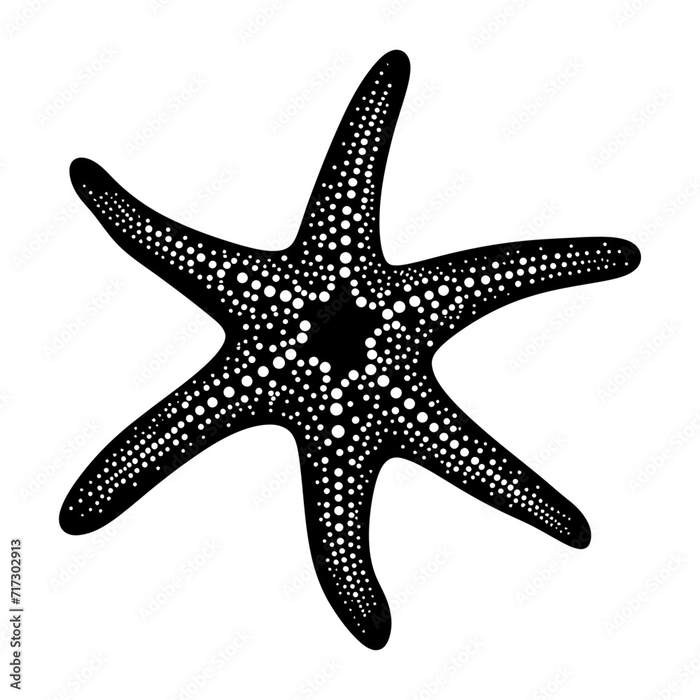 Silhouette starfish black color only Silhouette starfish black color only
