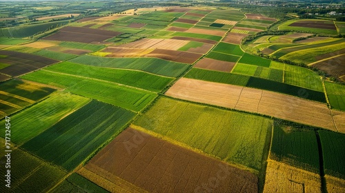 Aerial View of Patchwork Farmland at Sunset