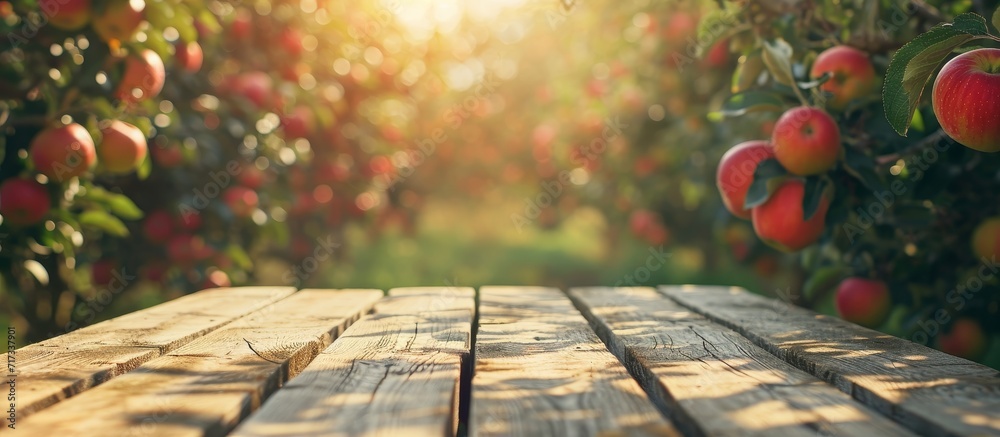 Retro-toned image of wood table in apple orchard with selective focus for product placement. - obrazy, fototapety, plakaty 