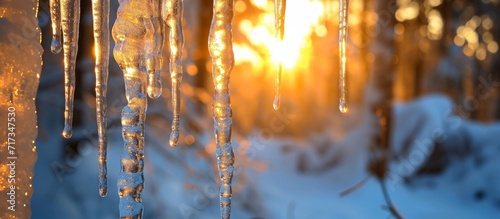 Sunlit transparent icicles in the background