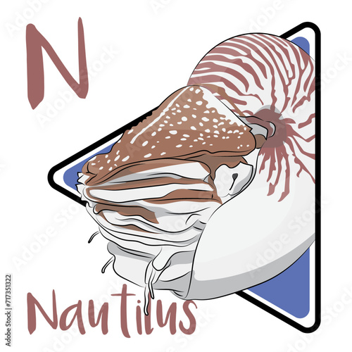 Nautilus is the last surviving genus of the ancient order Nautiloidea. Nautilus swims about the ocean using jet propulsion. Nautiluses have survived relatively unchanged for millions of years.