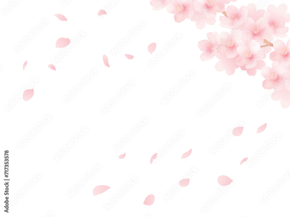 満開の桜と花びらの背景_水彩イラスト_かわいい春の花の素材