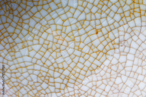 The texture of the porcelain wares