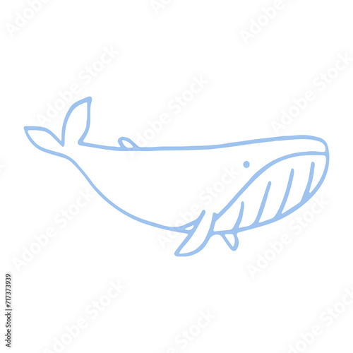 illustration of a whale