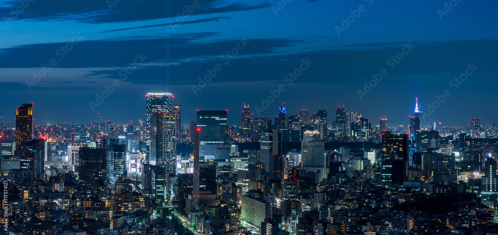 Tokyo Shibuya and Ebisu area city view at dusk