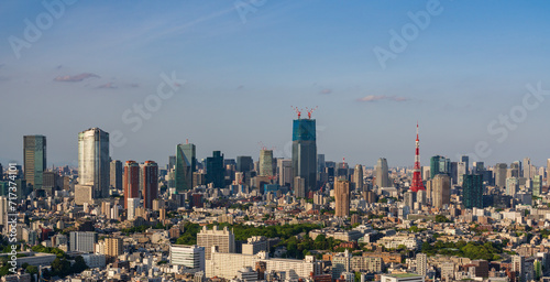 Tokyo central area city view with Tokyo Tower at daytime. 