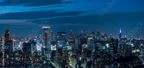 Tokyo Shibuya and Ebisu area city view at dusk