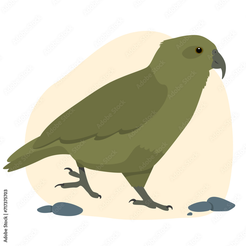 Kea Alpine Parrot Native Aotearoa New Zealand Bird Flat Graphic Vector Illustration on Isolated Background
Kea Alpine Parrot Native Aotearoa New Zealand Bird Flat Graphic Vector Illustration on Isolated Background