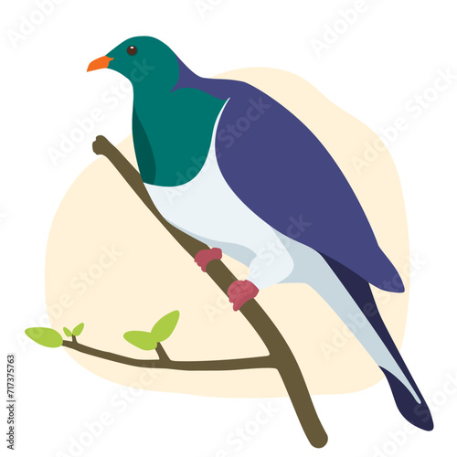 Kereru Wood Pigeon Native Aotearoa New Zealand Bird Flat Graphic Vector Illustration on Isolated Background
