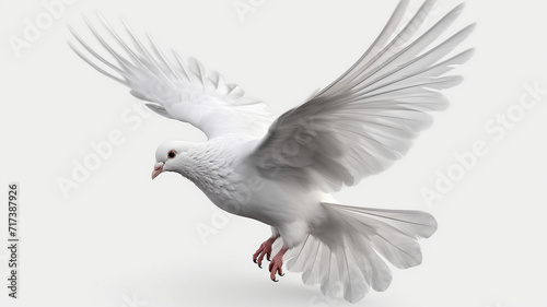 White dove © LeoArtes