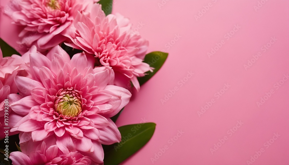 Zoomed-in shot of vibrant pink floral array set before a pink and white patterned background Zoomed-in shot of vibrant pink floral array set before a pink and white patterned background