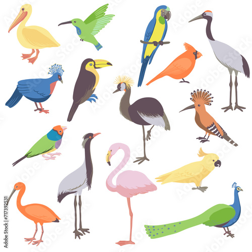 vector drawing set of birds, hand drawn illustration, isolated natural design elements