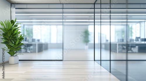 Eco-friendly modern office environment featuring lush plant by glass partitions with softly blurred background.