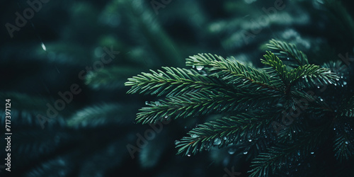 Leaves and branches making a green background with a fir tree and soft light.AI Generative