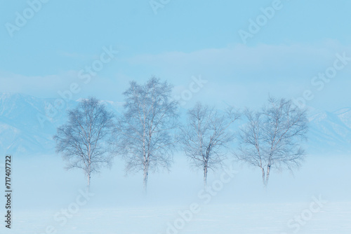 霧氷と気嵐 © makieni