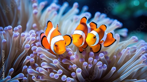 Undersea Wonders Exquisite Images of Clownfish Swimming in the Deep Sea ai generated