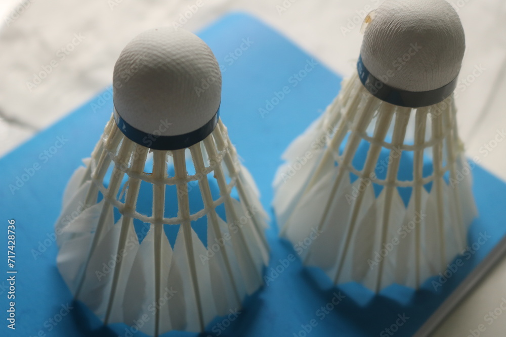 The badminton shuttlecocks used by badminton players are used indoors and outside the court and meet standards